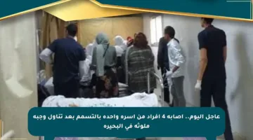 عاجل اليوم.. إصابة 4 أفراد من أسرة واحدة بالتسمم بعد تناول وجبة ملوثة في البحيرة
